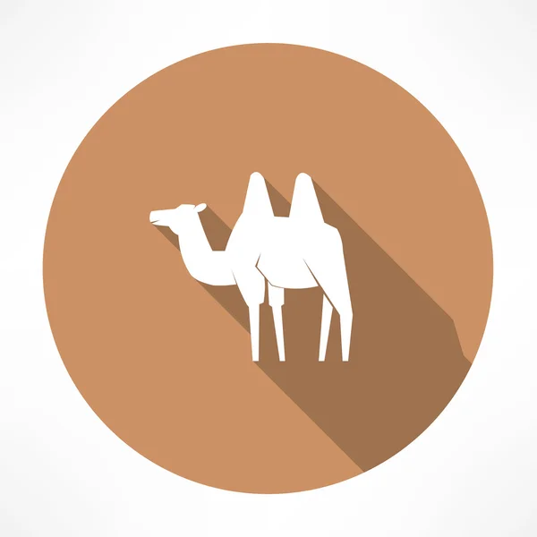 Camel icon — Stock Vector