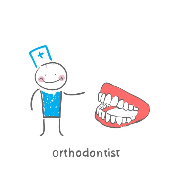 Orthodontist met de kaak — Stockvector