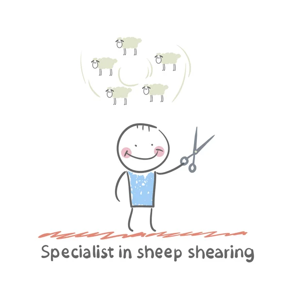 Specialist sheep shearing — Stock Vector