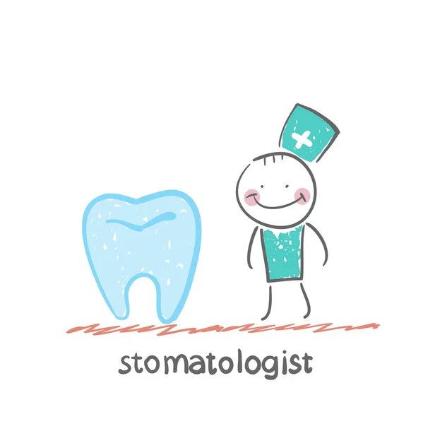 Stomatologist and large tooth — Stock Vector