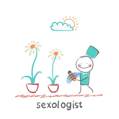 Bir arı Seksolog tutar