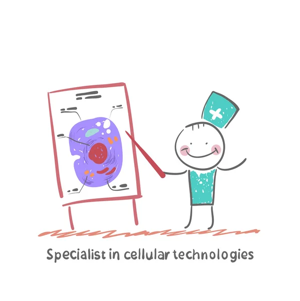 Specialist in cellular technologies — Stock Vector