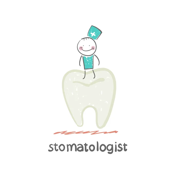 Stomatologist and large tooth — Stock Vector