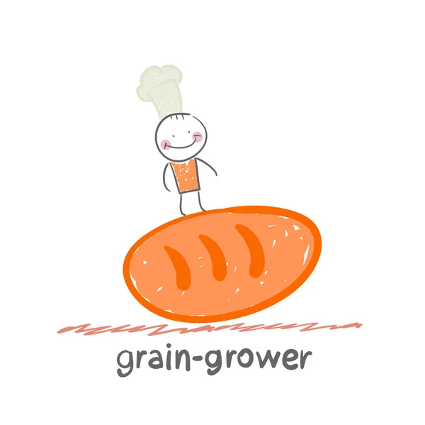 Grain grower — Stock Vector