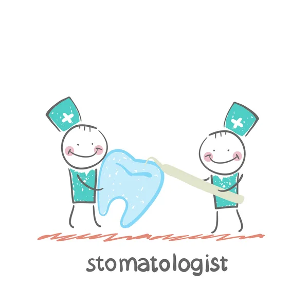 Stomatologen onderzoeken tand — Stockvector