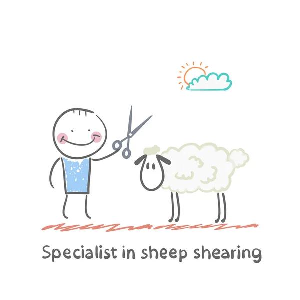 Specialist sheep shearing — Stock Vector