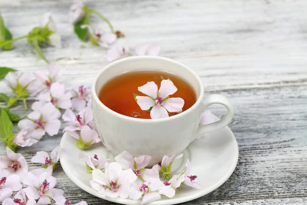 Bataklık ebegümecinin, lat. Althaea officinalis çaydan