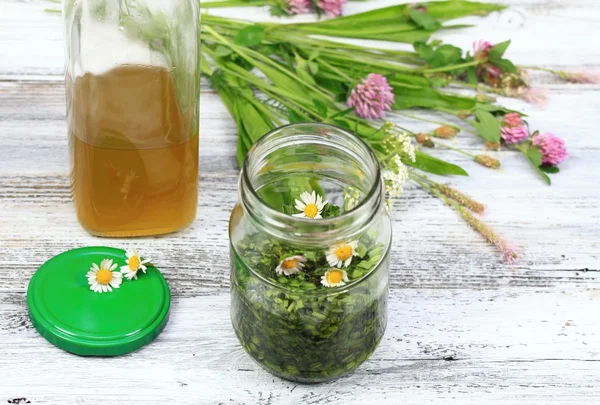 Травяное органическое масло из трав и оливкового масла — стоковое фото