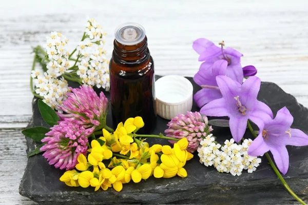 Essential oil from medical flowers — Stock Photo, Image