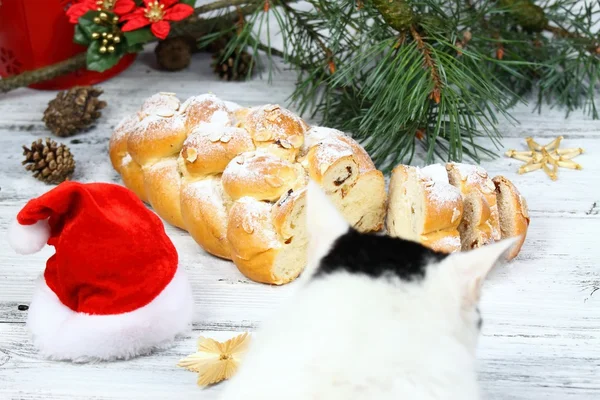 Estolado de Natal com açúcar em pó — Fotografia de Stock