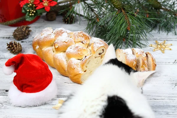 Estolado de Natal com açúcar em pó — Fotografia de Stock