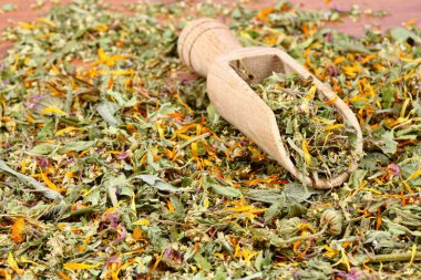 Çeşitli kurutulmuş bitkiler, alternatif ilaçlar. Kahverengi ahşap masada kaşıkta şifalı otlar..