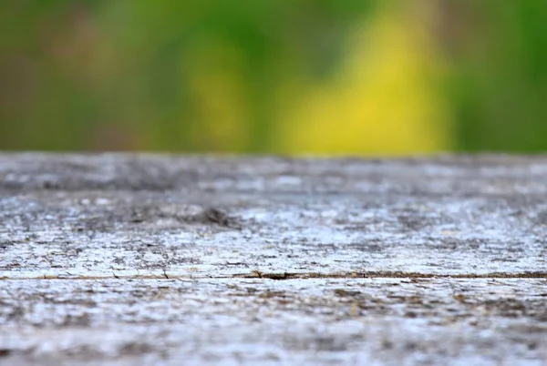 Tavolo Legno Rustico Vuoto Nel Giardino Sfondo Naturale Spazio Copia — Foto Stock