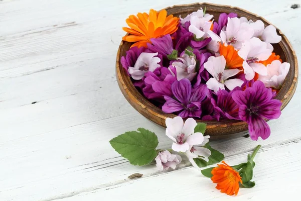 Bloemen Van Wilde Kaasjeskruid Malva Sylvestris Goudsbloem Lat Calendula Officinalis — Stockfoto