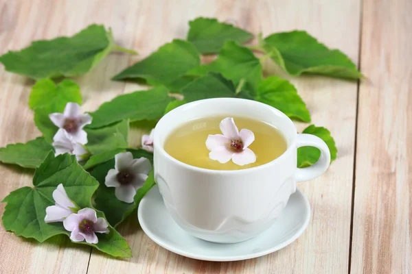 Herbal tea from marshmallow, — Stock Photo, Image