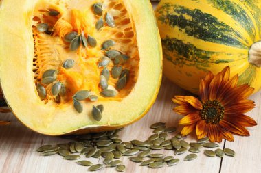 Kabak yağlı tohumlar