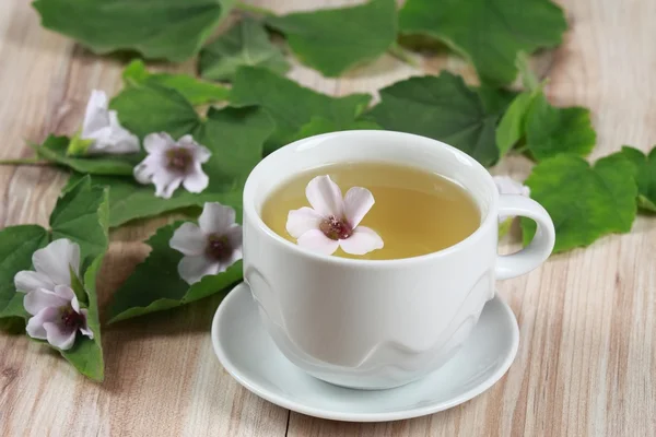 Herbal tea from marshmallow — Stock Photo, Image
