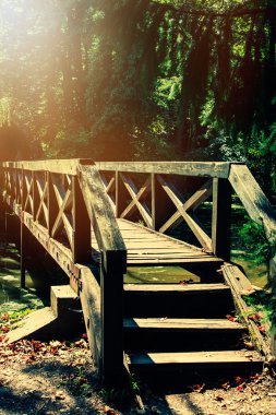 Ormandaki köprünün eski bir fotoğrafı.