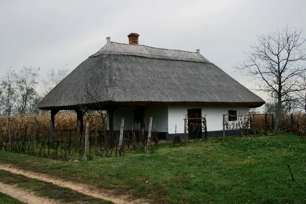 Traditionele wijnkelder — Stockfoto