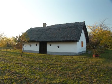 geleneksel bir şarap mahzeni