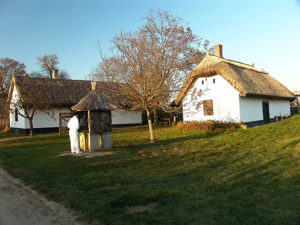 Traditioneller Weinkeller — Stockfoto