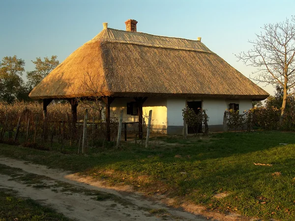 Traditionele wijnkelder — Stockfoto