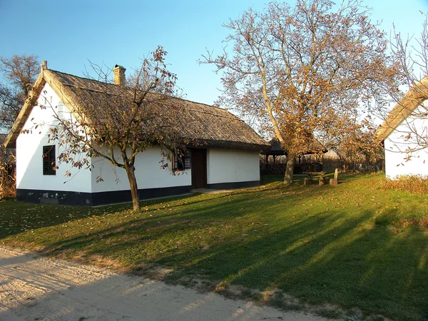 Traditioneller Weinkeller — Stockfoto