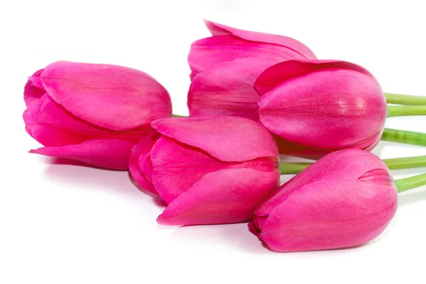 Spring pink tulips bouquet — Stock Photo, Image