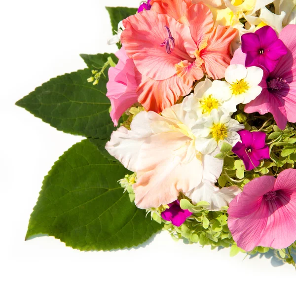 グラジオラス、芝桜、アジサイ、ヒルガオの花束 — ストック写真