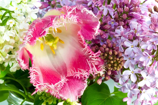 Bouquet with pink terry tulip, white and purple lilac Stock Photo