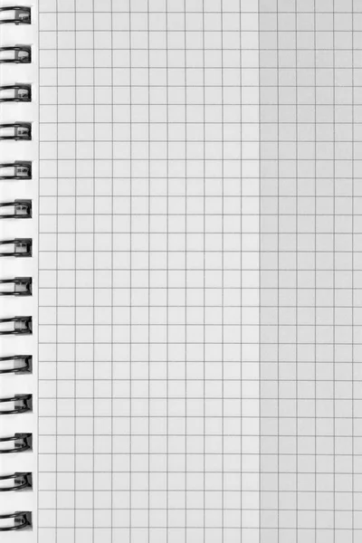 Checked spiral notebook background pattern, vertical chequered squared open notepad copy space, stapled blank empty blocknote, reminder concept metaphor, large detailed macro closeup — Stock Photo, Image