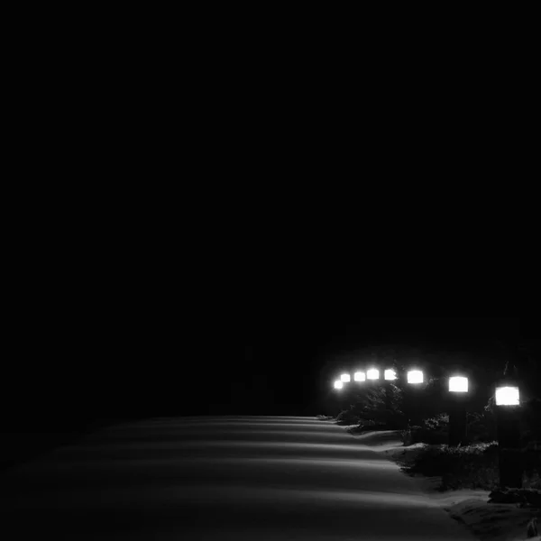 Világít Snowy Park gyalogösvény fények, fényes fehér kültéri út járda lámpák Lámpaállások Row a perspektíva éjjel, első téli Snow Evergreen bokrok, élénk izzó Walk lámpák, magány Concept magány metafora, kihalt éjszakai jelenet — Stock Fotó