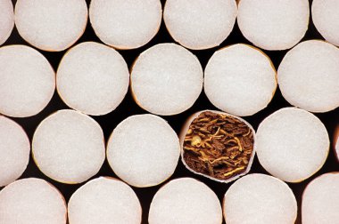 Yığılmış Filtre Sigaraları, Makro Kapanış Şablonu, Sigara Bağımlılığı Konsepti, Geniş Ayrıntılı Yatay Sigara Yığını Özgeçmişi