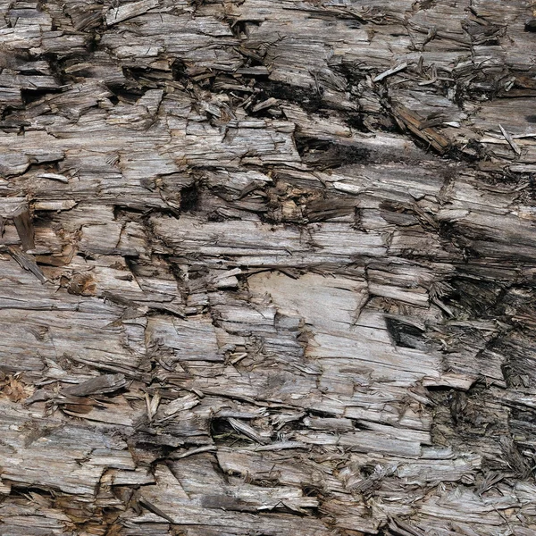 Natürliche verwitterte graue taupe braun geschnittene Baumstammstruktur, große horizontale detaillierte verwundete beschädigte graue Hölzer Hintergrund Holz-Makro-Nahaufnahme, dunkelschwarze strukturierte rissige Holzmuster — Stockfoto