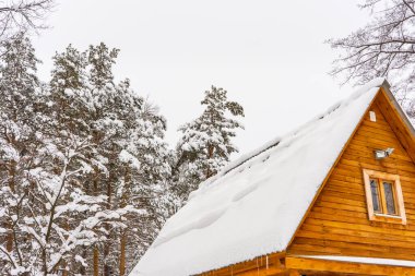 Karla kaplı ağaçlar ve bulutlu bir günde kar yağdıktan sonra kır evinin çatısı olan resmedilmiş kış manzarası. Kışın köy, mevsim detayları, soğuk hava.