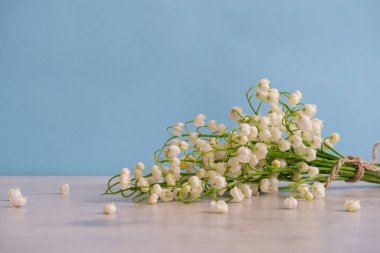 Vadi çiçeklerinin taze nilüferlerinden oluşan güzel bir bahar buketi mavi arka plandaki ışık masasında yatıyor. Kadınlar ya da anneler günü için tebrik kartı. Tatil kavramı.