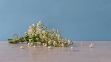 Vadi çiçeklerinin taze nilüferlerinden oluşan güzel bir bahar buketi mavi arka plandaki ışık masasında yatıyor. Kadınlar ya da anneler günü için tebrik kartı. Tatil kavramı.