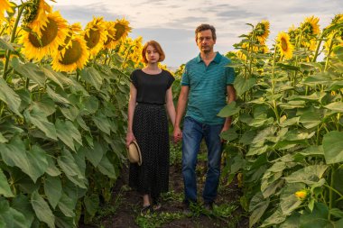 İnsanlar yaz akşamları gün batımında ayçiçeği tarlasında yürürler. Güzel genç bir kadın ve yakışıklı yetişkin bir adam. Baba ve kızı kırsal alanlara karşı. Hafta sonu kır gezisi, yaz tatili..