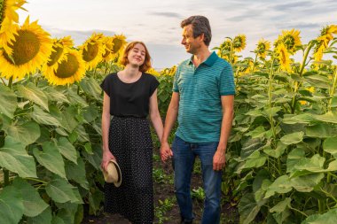 İnsanlar yaz akşamları gün batımında ayçiçeği tarlasında yürürler. Güzel gülümseyen kız ve yakışıklı yetişkin adam. Baba ve kızı kırsal alanlara karşı. Hafta sonu kır gezisi, yaz tatili..