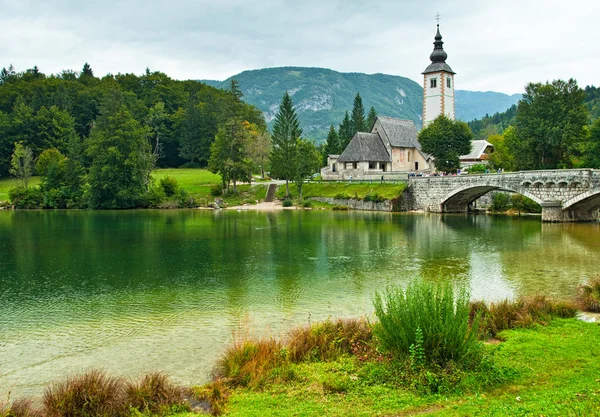 Parlak gün pitoresk göl Bohinj — Stok fotoğraf