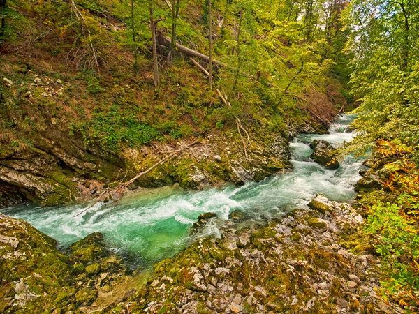 Holzweg, ausgeblutet, Slowenien — Stockfoto