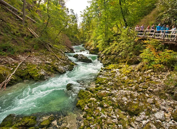 Trä väg, Bled, Slovenien — Stockfoto
