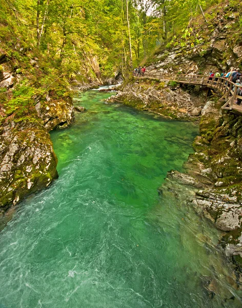 Caminho de madeira, Bled, Eslovênia — Fotografia de Stock