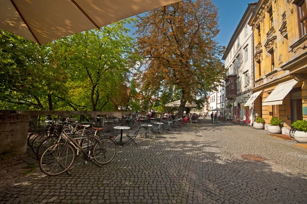 Belles maisons et bars dans la vieille ville de Ljubljana — Photo