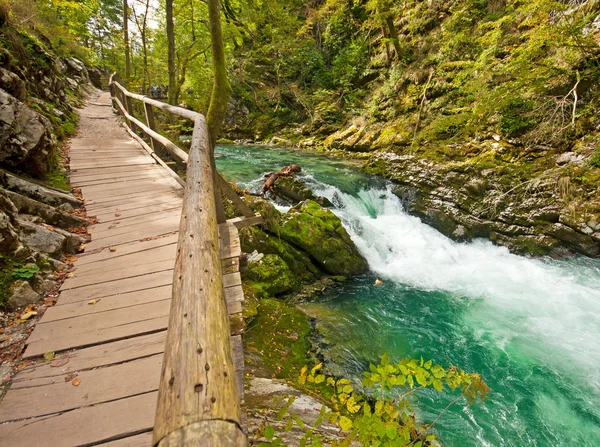 Caminho de madeira, Bled, Eslovênia — Fotografia de Stock