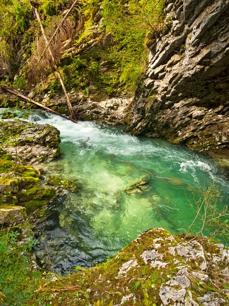 Fából készült kerti ösvény, Bled, Szlovénia — Stock Fotó