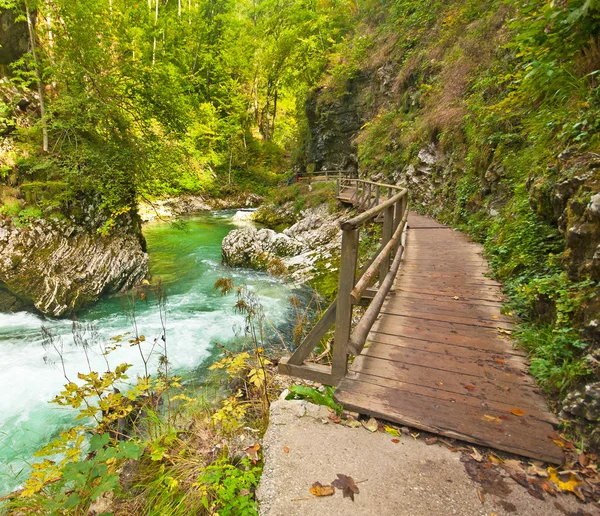 Caminho de madeira, Bled, Eslovênia — Fotografia de Stock