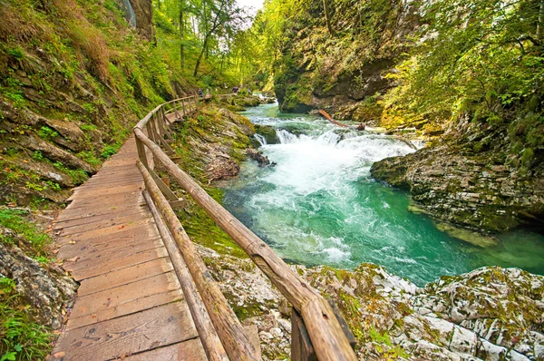 Fából készült kerti ösvény, Bled, Szlovénia — Stock Fotó