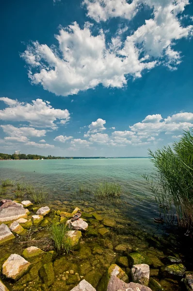 Bright vivid Lake Balaton — Stock Photo, Image