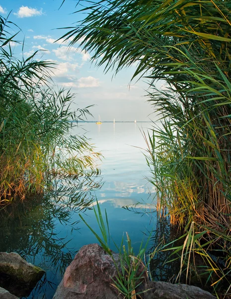 Яркое яркое озеро Балатон — стоковое фото